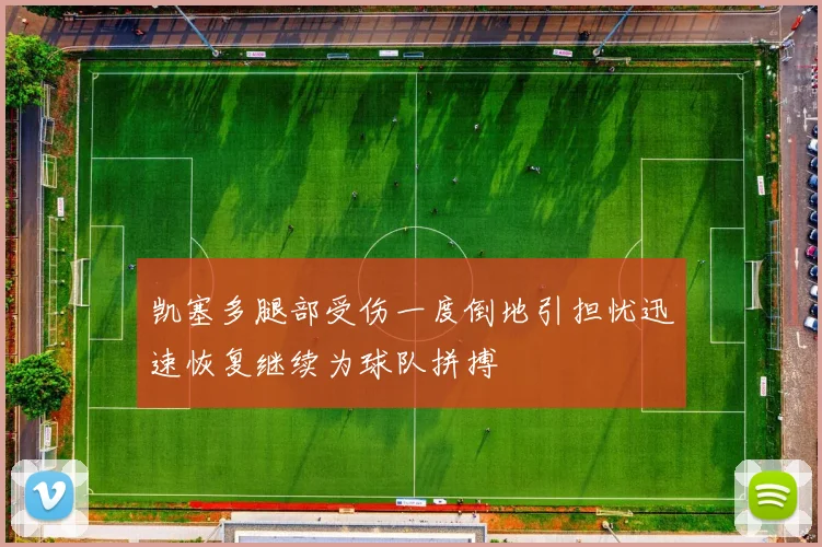 凯塞多腿部受伤一度倒地引担忧迅速恢复继续为球队拼搏