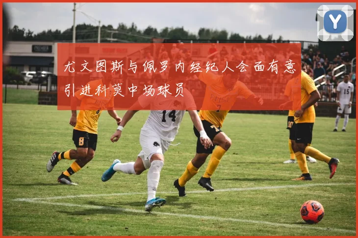 尤文图斯与佩罗内经纪人会面有意引进科莫中场球员